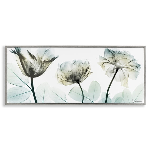 Stupell Industries Contemporary Jewel of Passion Flowers Gray Framed Giclee Art, 30 x 13, by Albert Koetsier