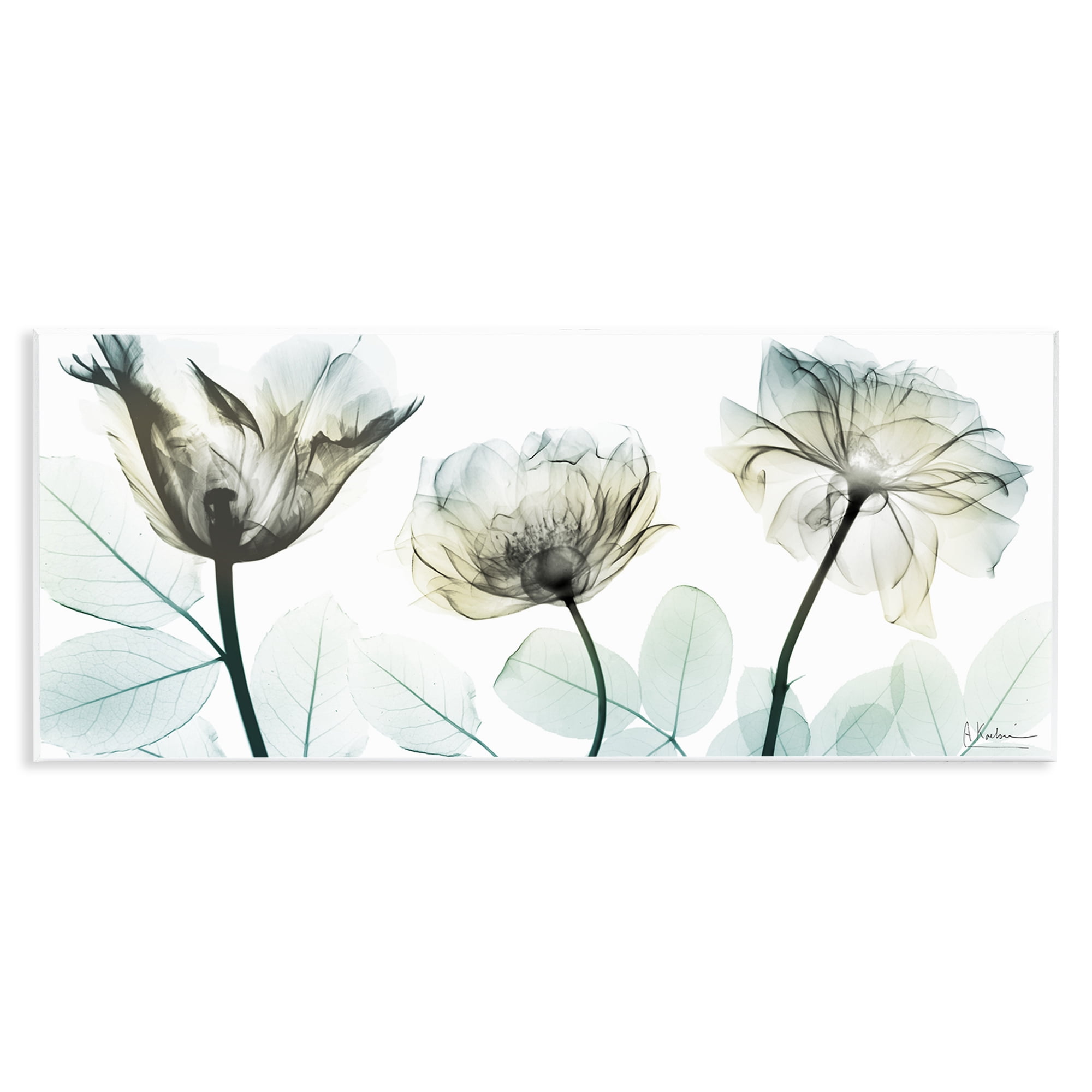 Stupell Industries Jewel of Passion Flowers Wall Plaque Art, design by Albert Koetsier