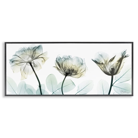 Stupell Industries Traditional Jewels Of Passion Black Framed Giclee Art, 24 x 10, by Albert Koetsier