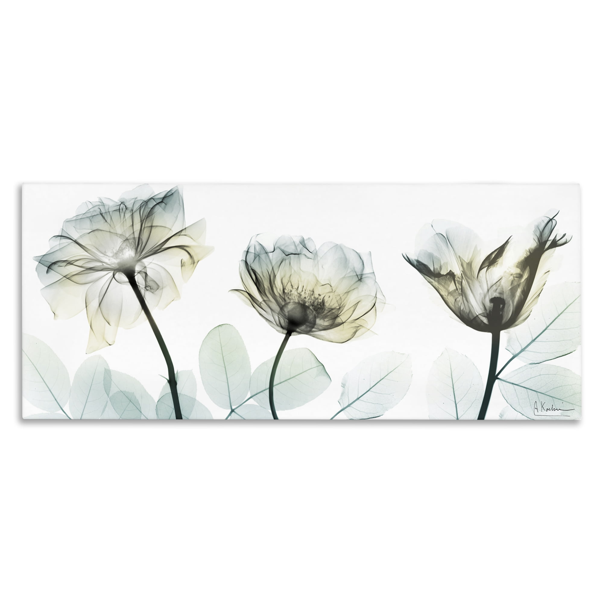Stupell Industries Jewels Of Passion Canvas Wall Art, design by Albert Koetsier