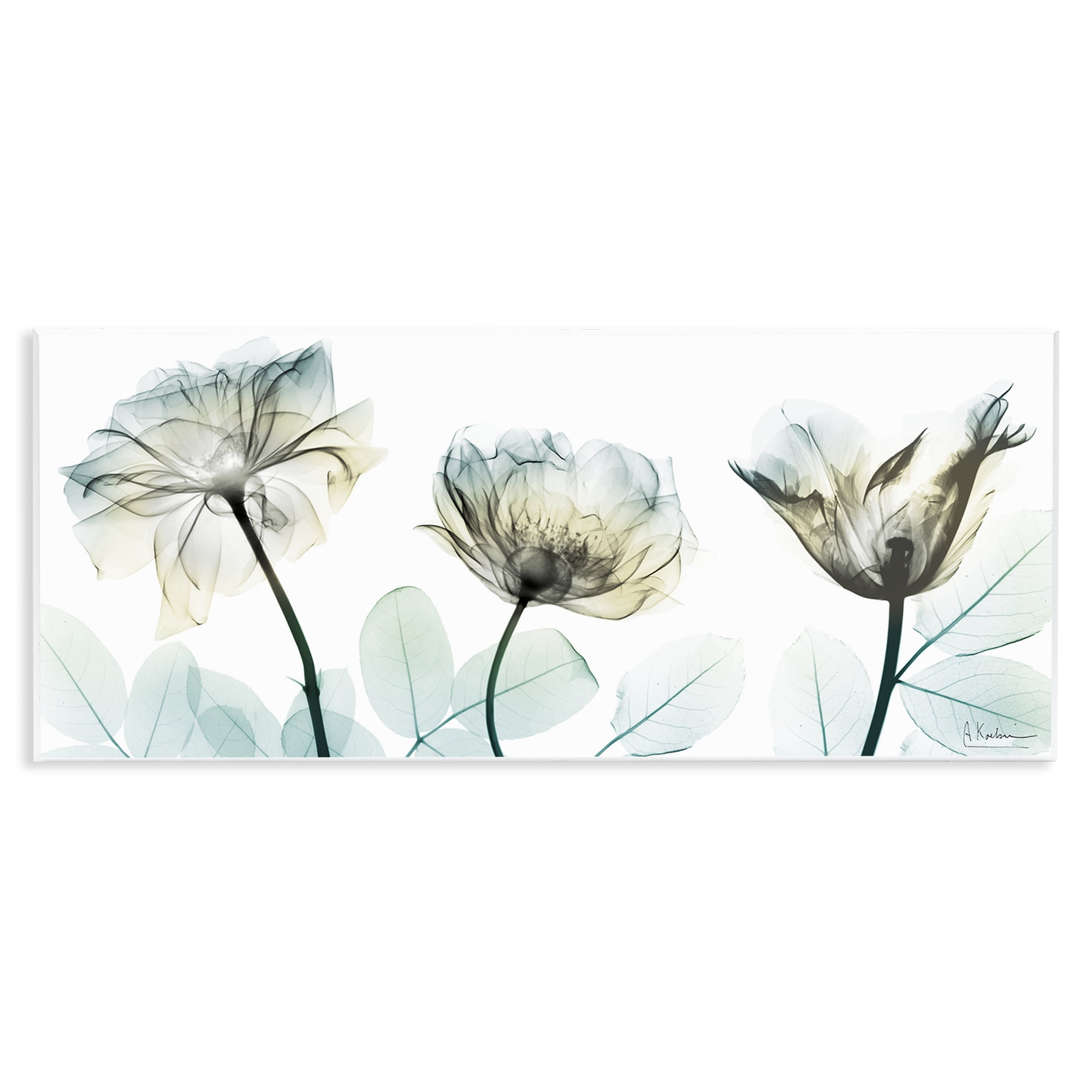 Stupell Industries Jewels Of Passion Wall Plaque Art, design by Albert Koetsier