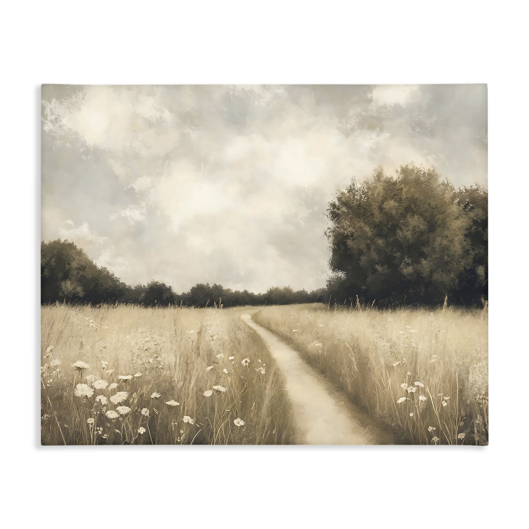 Stupell Industries Journey Through Wildflowers in Meadow Canvas Wall Art, design by Creative Studio