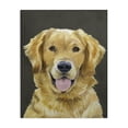 thumbnail image 1 of Stupell Industries Farmhouse Joyful Golden Retriever Portrait Canvas Art, 16 x 20, by Lil' Rue, 1 of 8