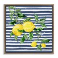 thumbnail image 1 of Stupell Industries Juicy Lemon Vine Brown Framed Floater Canvas Wall Art design by Paul Brent, 25 x 25, 1 of 9