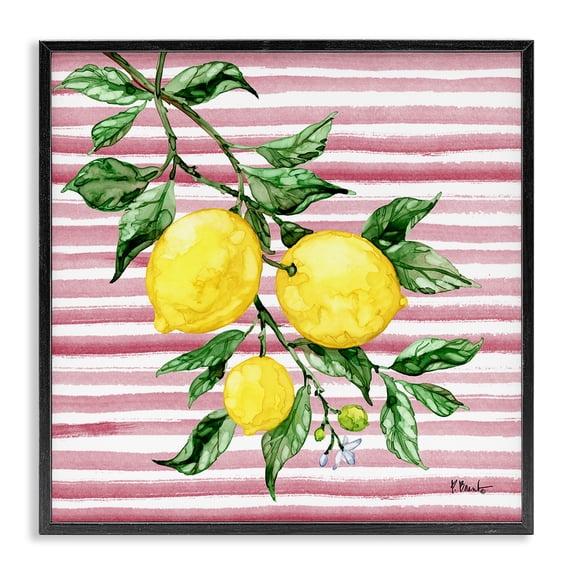 Stupell Industries Juicy Lemon Vine on Pink Black Framed Giclee Art design by Paul Brent, 17 x 17