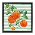 thumbnail image 1 of Stupell Industries Juicy Orange Vine Black Framed Floater Canvas Wall Art design by Paul Brent, 18 x 18, 1 of 9