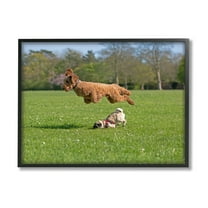 Stupell Industries Jumping Dogs in Field Animals & Insects Photography Black Framed Art Print Wall Art, 14 x 11