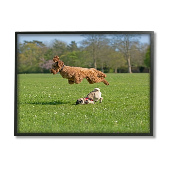 Stupell Industries Jumping Dogs in Field Animals & Insects Photography Black Framed Art Print Wall Art, 14 x 11