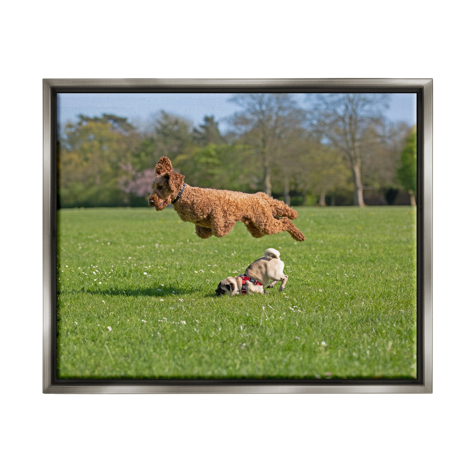 Stupell Industries Jumping Dogs in Field Animals & Insects Photography Gray Floater Framed Canvas Art Print Wall Art, 21 x 17