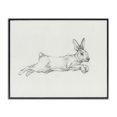 thumbnail image 1 of Stupell Industries Jumping Rabbit Sketch Animals & Insects Drawing Black Framed Art Print Wall Art, 20 x 16, 1 of 10