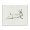 thumbnail image 1 of Stupell Industries Jumping Rabbit Sketch Animals & Insects Drawing Gallery Wrapped Canvas Art Print Wall Art, 48 x 36, 1 of 8