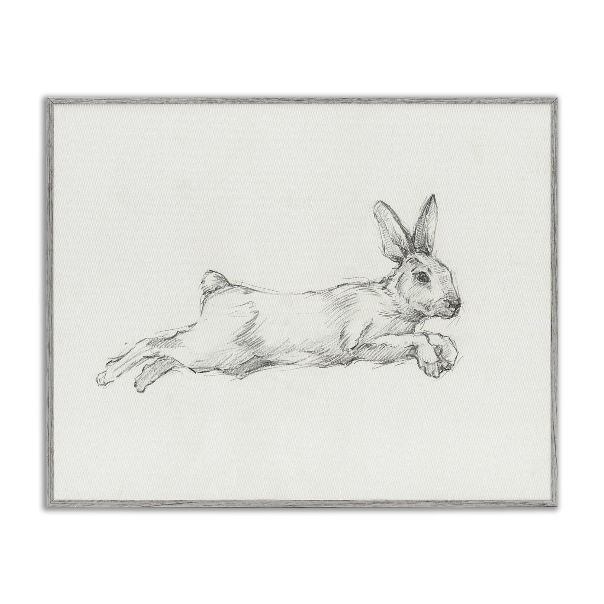 Stupell Industries Jumping Rabbit Sketch Animals & Insects Drawing Gray Framed Art Print Wall Art, 14 x 11