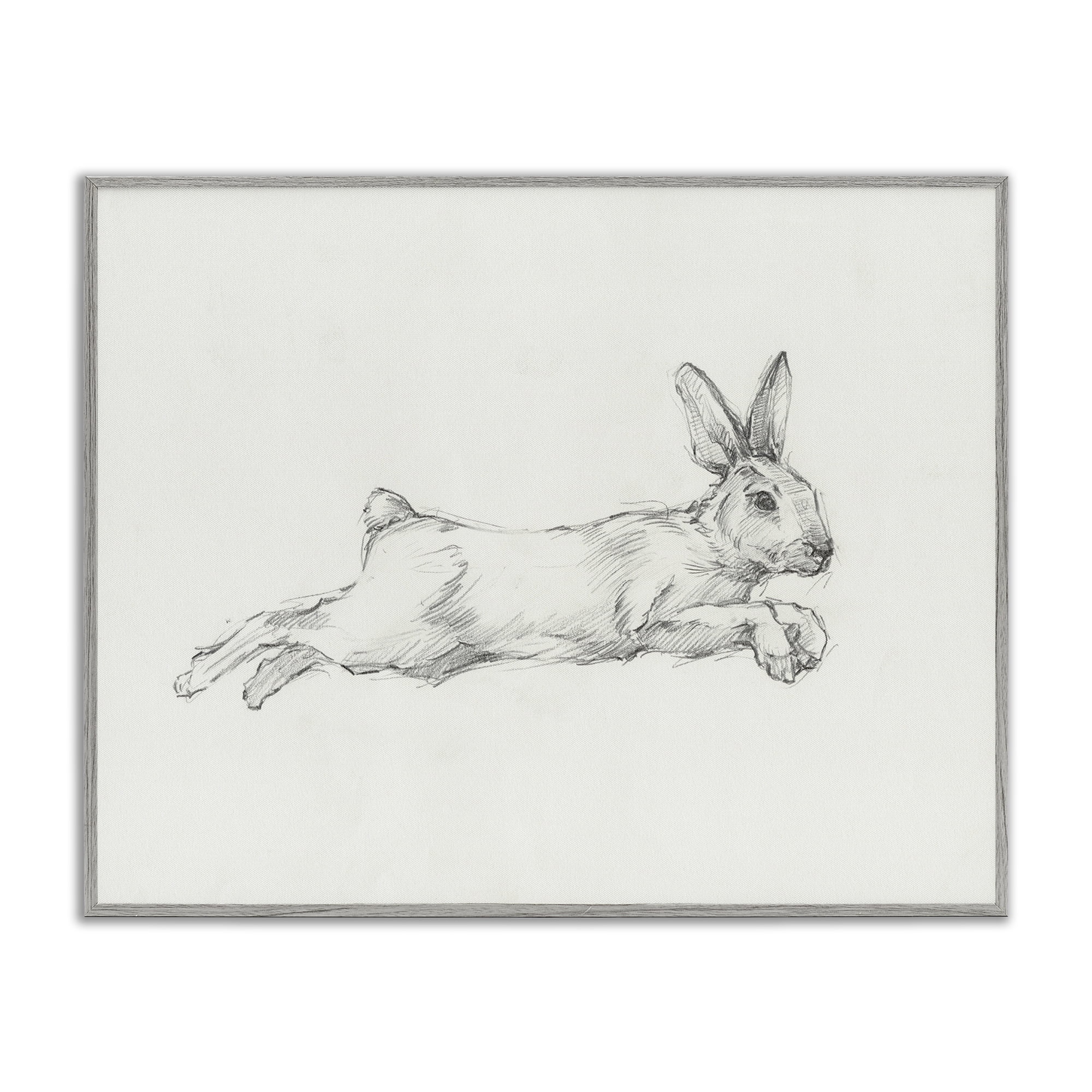 Stupell Industries Jumping Rabbit Sketch Animals & Insects Drawing Gray Framed Art Print Wall Art, 20 x 16