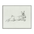 thumbnail image 1 of Stupell Industries Jumping Rabbit Sketch Animals & Insects Drawing Gray Framed Art Print Wall Art, 30 x 24, 1 of 9