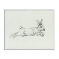 thumbnail image 1 of Stupell Industries Jumping Rabbit Sketch Animals & Insects Drawing White Framed Art Print Wall Art, 14 x 11, 1 of 10