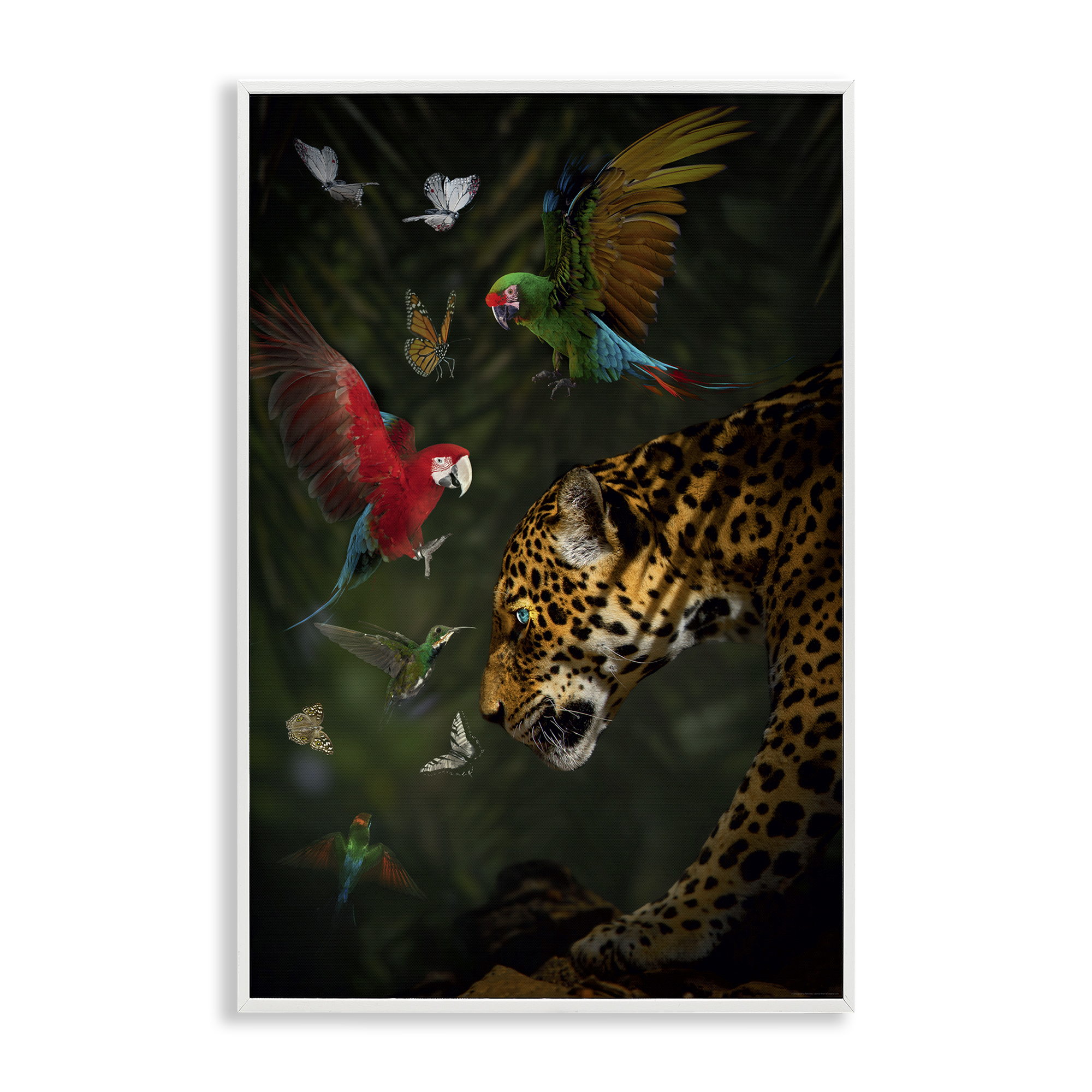 Stupell Industries Jungle Brawl Animals Animals Painting White Framed Art Print Wall Art, 20 x 30
