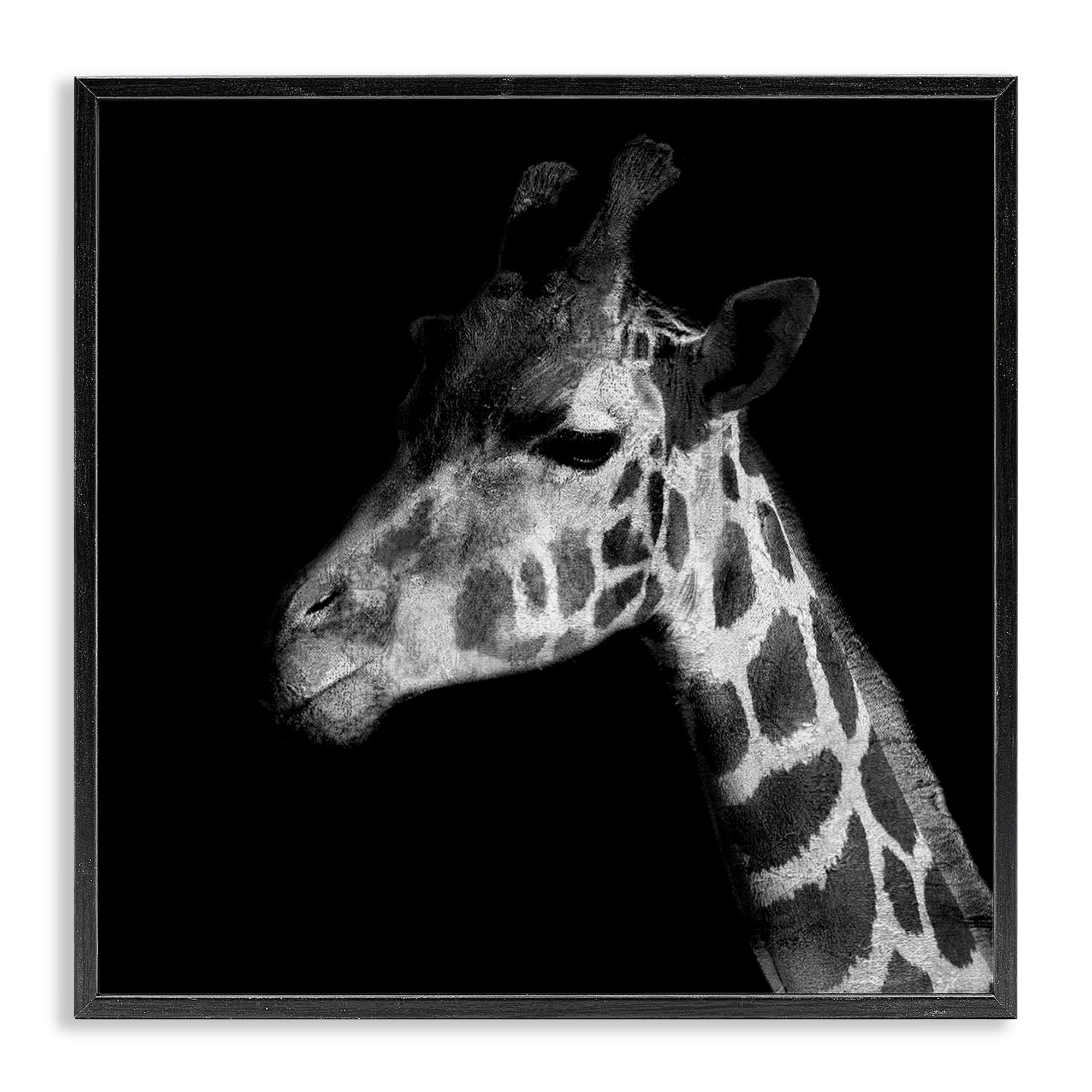 Stupell Industries Jungle Giraffe Portrait Animals Photography Black Framed Art Print Wall Art, 17 x 17