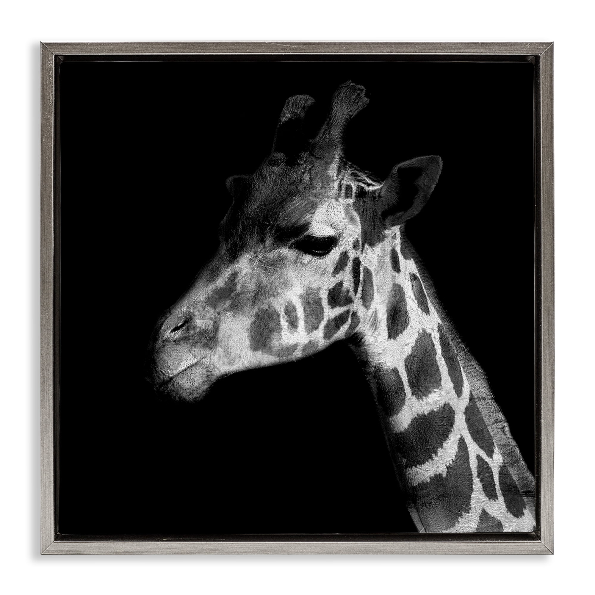 Stupell Industries Jungle Giraffe Portrait Animals Photography Gray Floater Framed Canvas Art Print Wall Art, 25 x 25