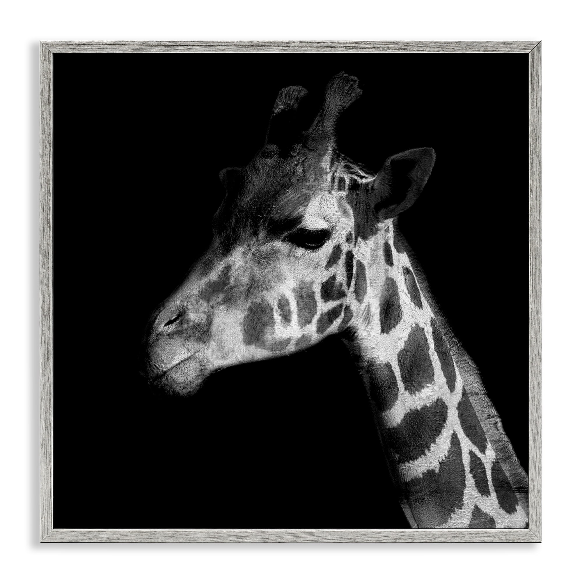 Stupell Industries Jungle Giraffe Portrait Animals Photography Gray Framed Art Print Wall Art, 24 x 24