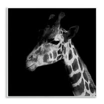 Stupell Industries Jungle Giraffe Portrait Animals Photography Unframed Art Print Wall Art, 12 x 12