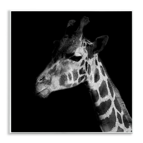 Stupell Industries Jungle Giraffe Portrait Animals Photography Unframed Art Print Wall Art, 12 x 12
