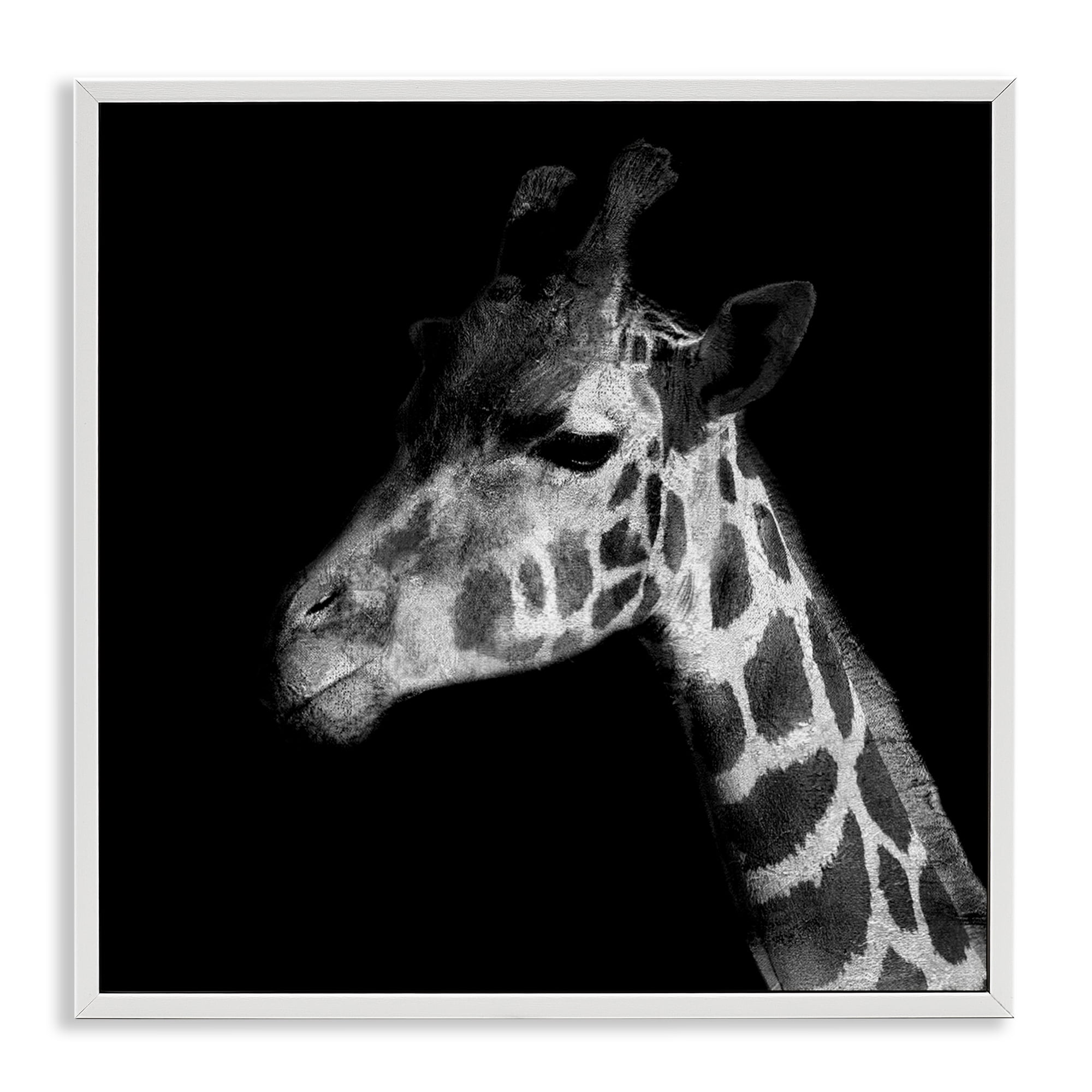 Stupell Industries Jungle Giraffe Portrait Animals Photography White Framed Art Print Wall Art, 12 x 12