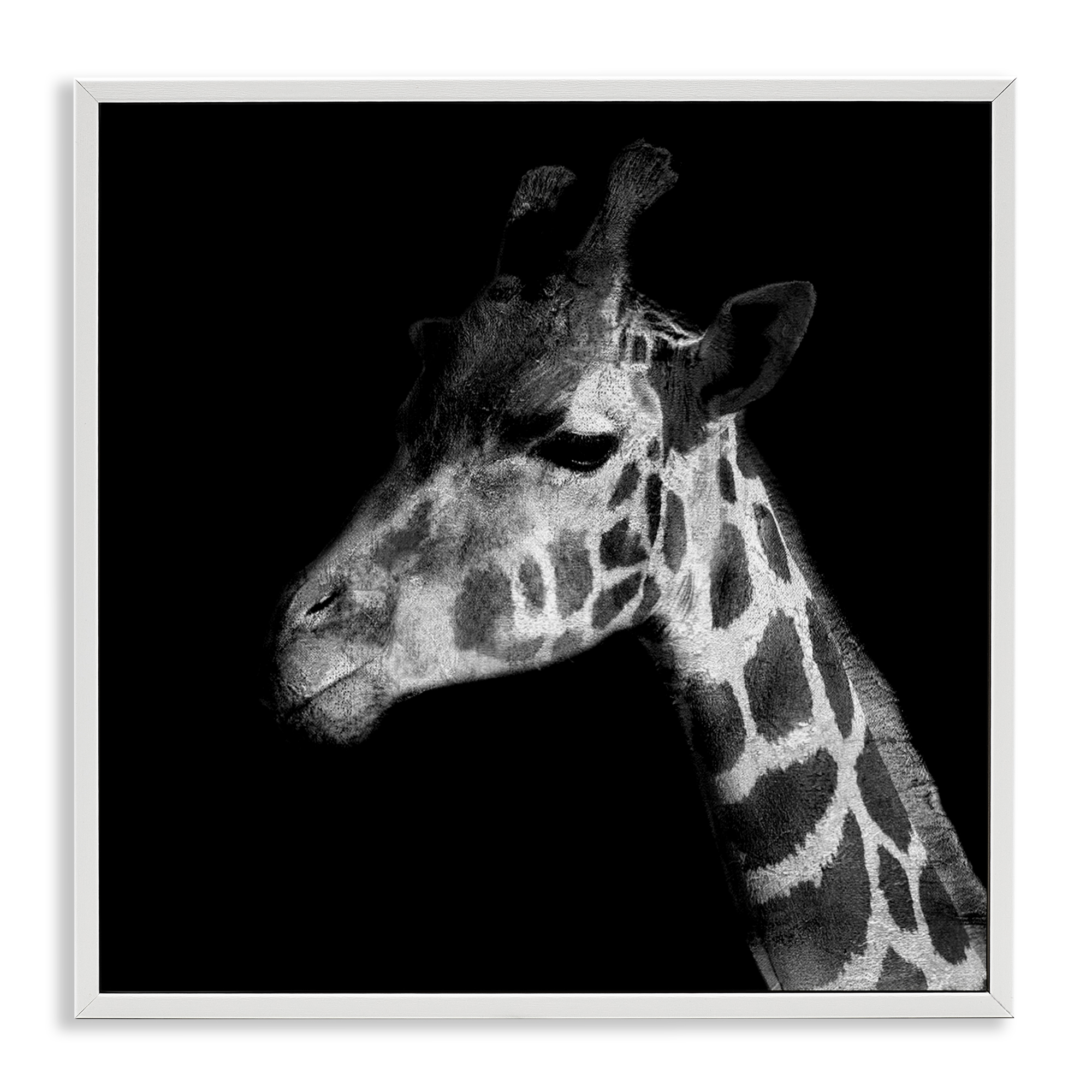 Stupell Industries Jungle Giraffe Portrait Animals Photography White Framed Art Print Wall Art, 17 x 17