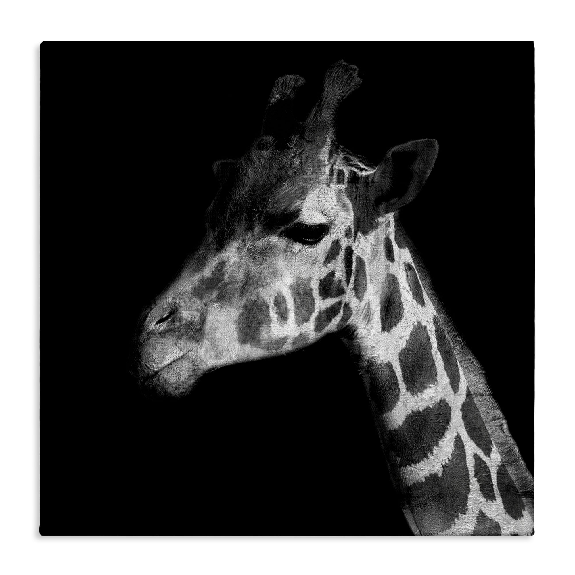 Stupell Industries Jungle Giraffe Portrait Animals Photography Wrapped Canvas Art Print Wall Art, 36 x 36