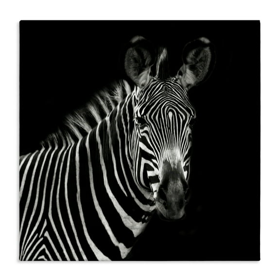 Stupell Industries Jungle Zebra Portrait Animals Photography Wrapped Canvas Art Print Wall Art, 17 x 17
