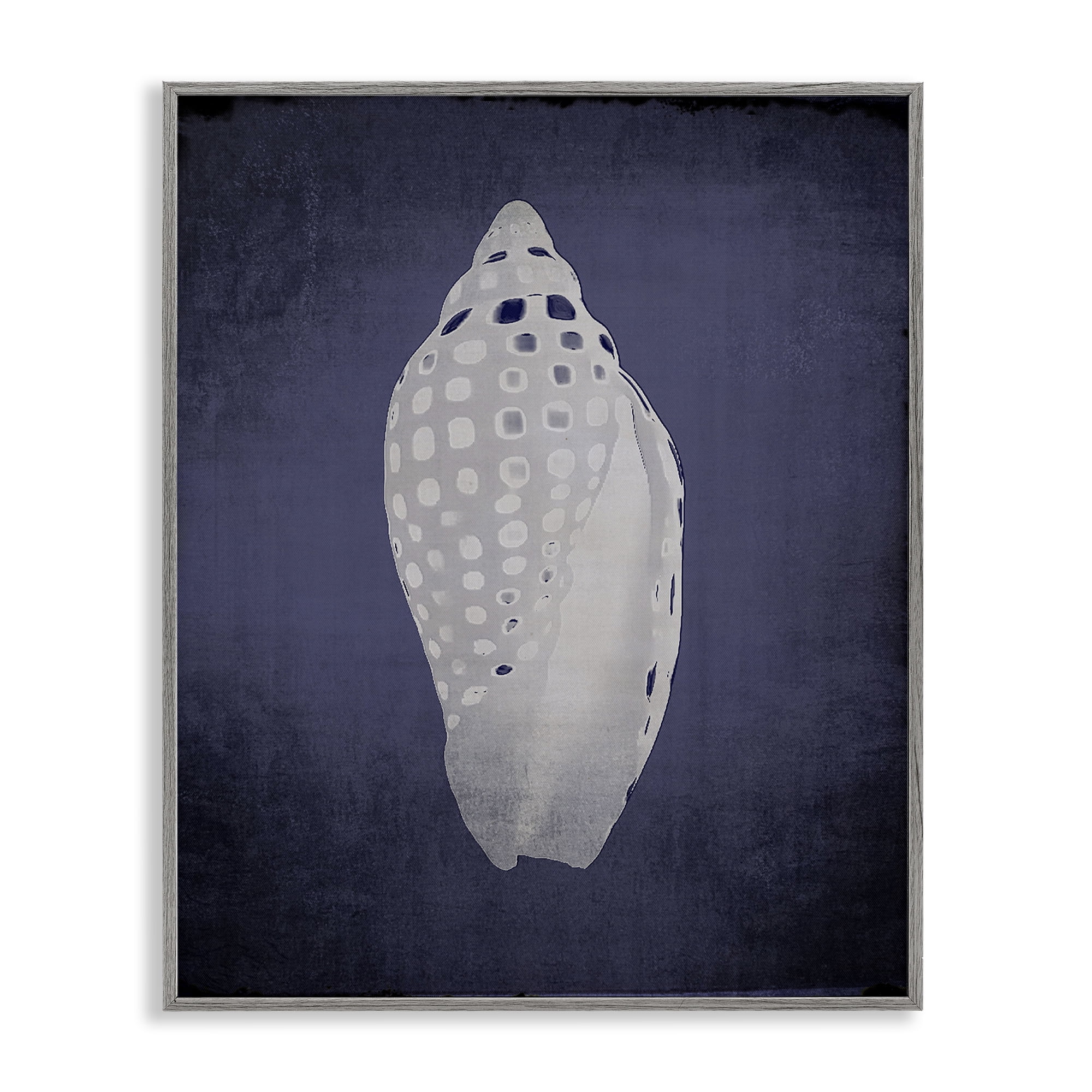 Stupell Industries Junonia on Indigo Nautical & Beach Painting Gray Framed Art Print Wall Art, 11 x 14