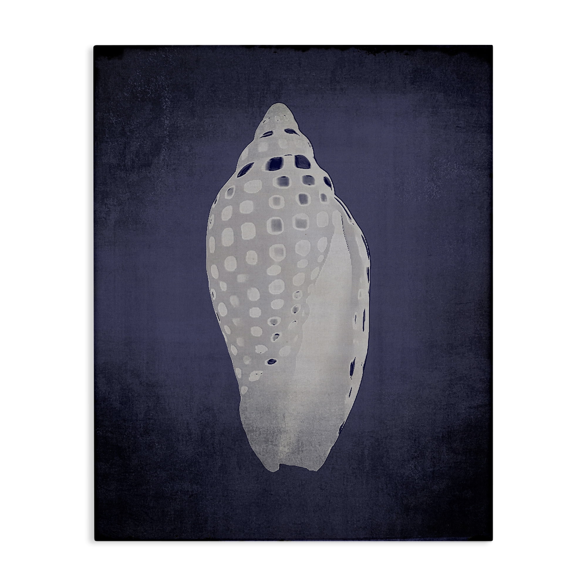 Stupell Industries Junonia on Indigo Nautical & Beach Painting Wrapped Canvas Art Print Wall Art, 24 x 30