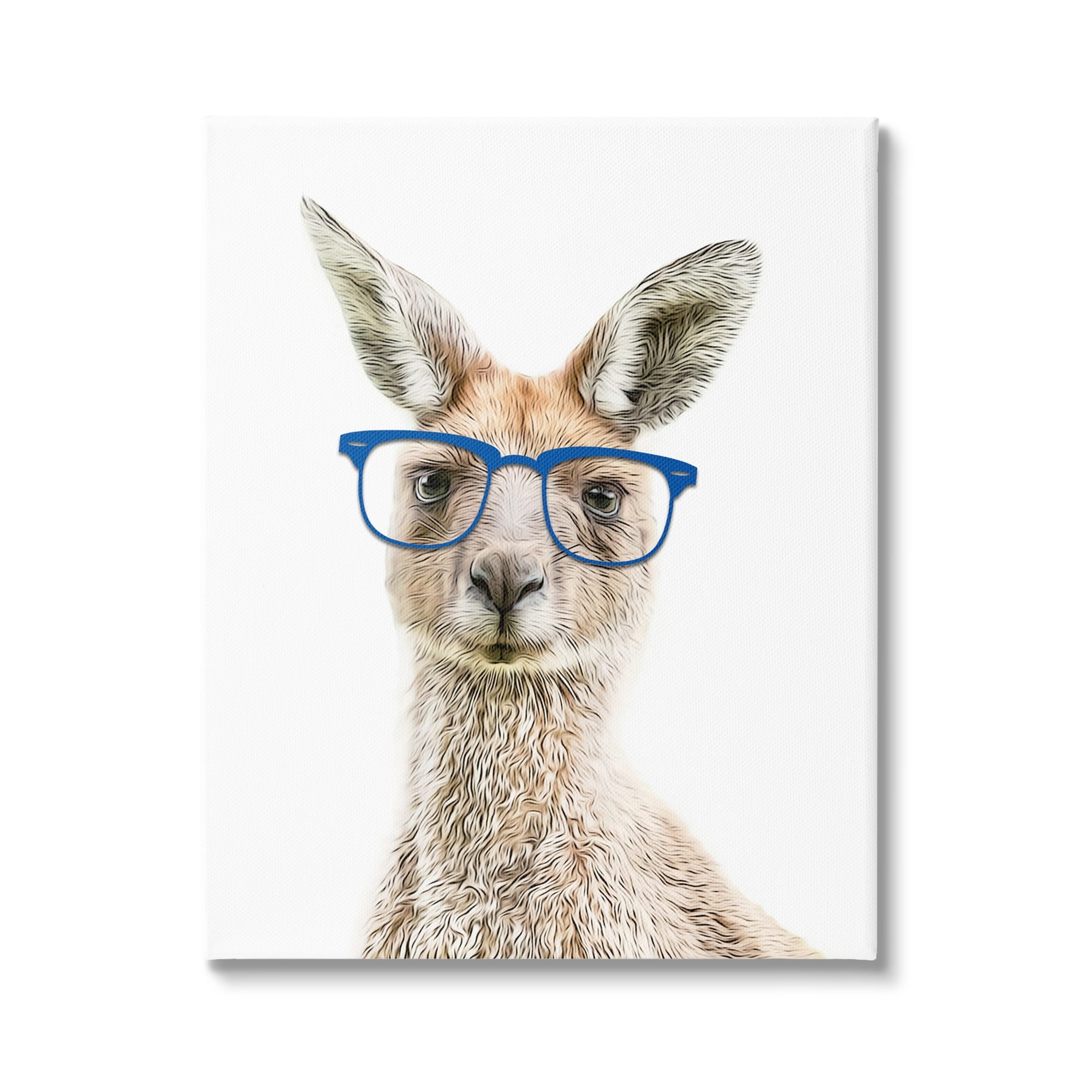 Stupell Industries Kangaroo Blue Hipster Glasses Animals & Insects Painting Gallery Wrapped Canvas Print Wall Art