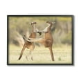 thumbnail image 1 of Stupell Industries Kangaroo Duo Photography Animals & Insects Photography Black Framed Art Print Wall Art, 20 x 16, 1 of 9