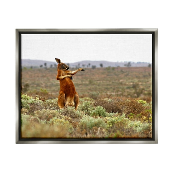 Stupell Industries Kangaroo Savanna Landscape Animals & Insects Photography Gray Floater Framed Canvas Art Print Wall Art, 21 x 17