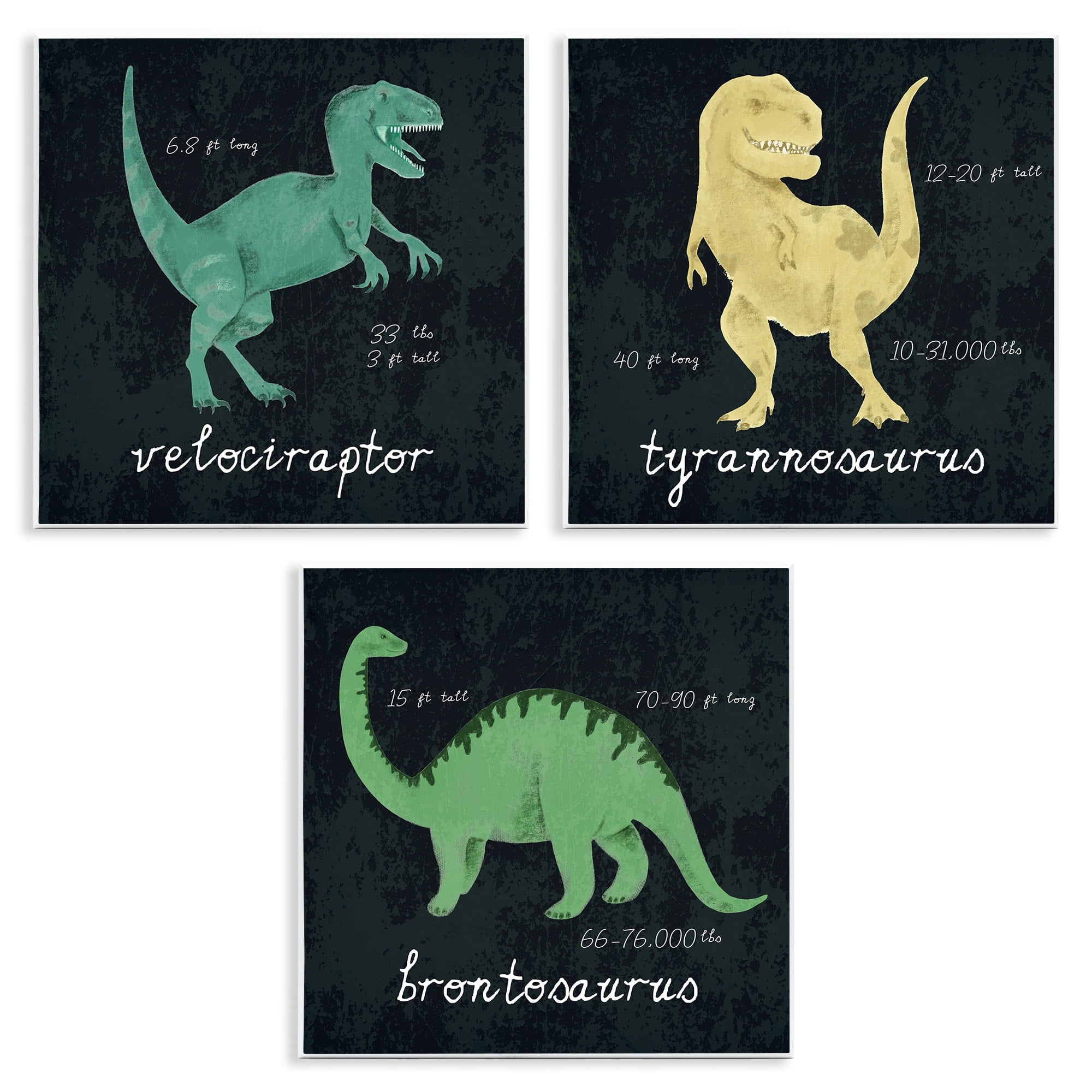 Stupell Industries Kid's Dinosaur Size Facts Chalk Inspired Design Wall Plaque by Daphne Polselli