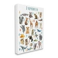 thumbnail image 1 of Stupell Industries Kid's Playful Animal Alphabet Whimsical ABC's, 36 x 48, Designed by Ziwei Li, 1 of 6