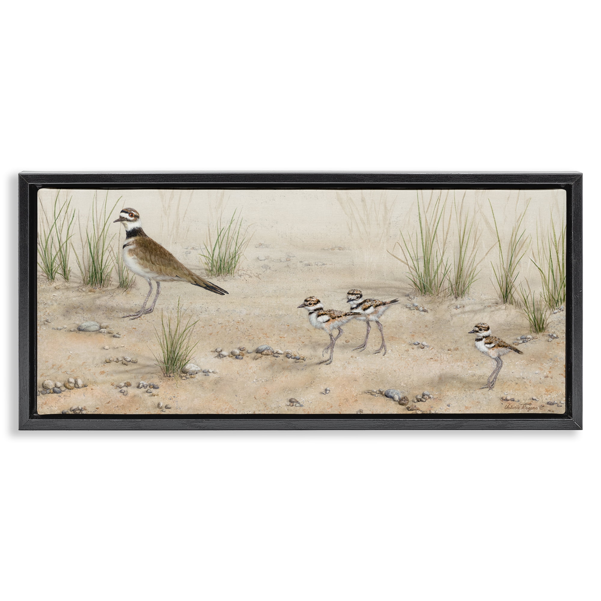 Stupell Industries Kildeer Birds Stepping Landscape & Nature Painting Black Floater Framed Canvas Art Print Wall Art, 31 x 14