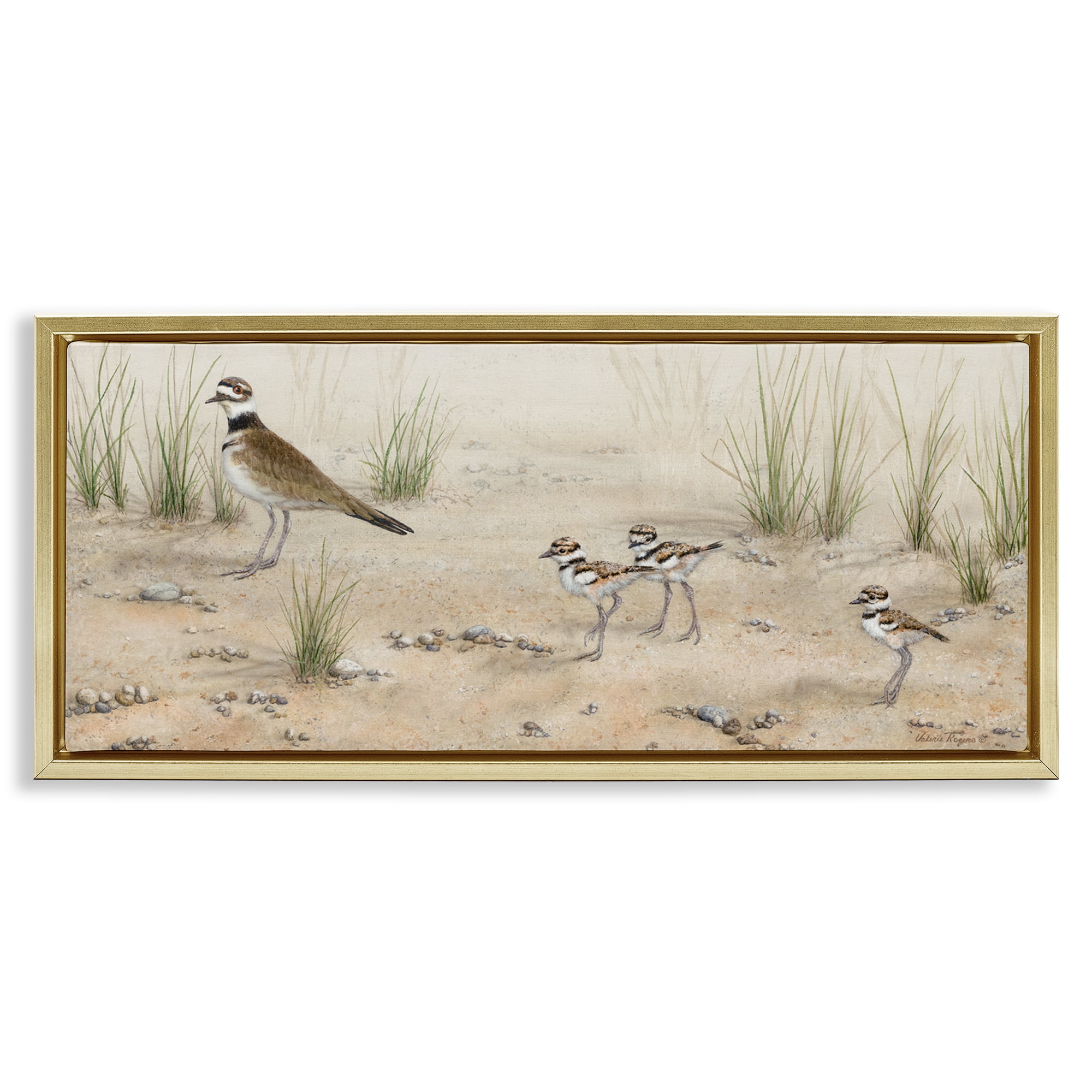 Stupell Industries Kildeer Birds Stepping Landscape & Nature Painting Gold Floater Framed Canvas Art Print Wall Art, 31 x 14