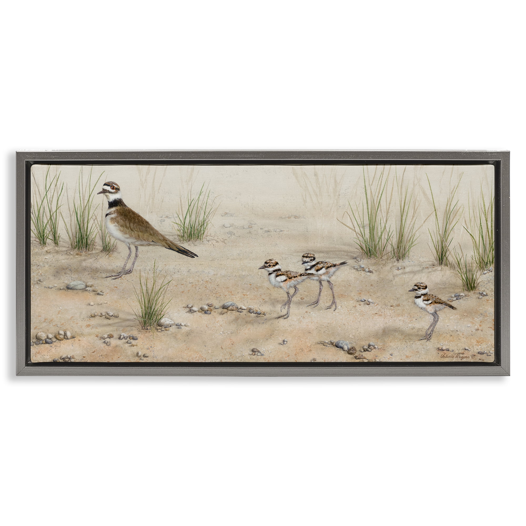 Stupell Industries Kildeer Birds Stepping Landscape & Nature Painting Gray Floater Framed Canvas Art Print Wall Art, 25 x 11