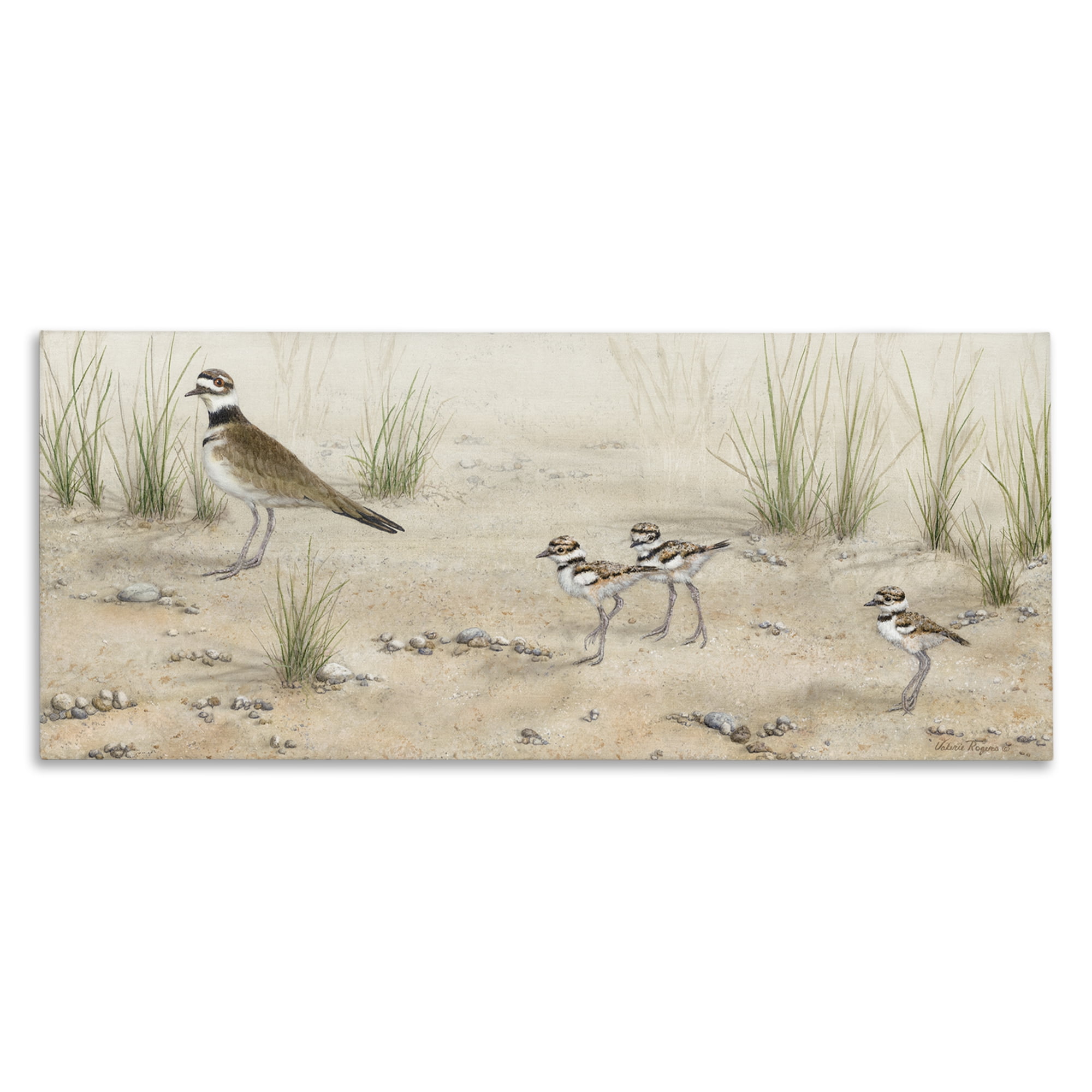 Stupell Industries Kildeer Birds Stepping Landscape & Nature Painting Wrapped Canvas Art Print Wall Art, 40 x 17