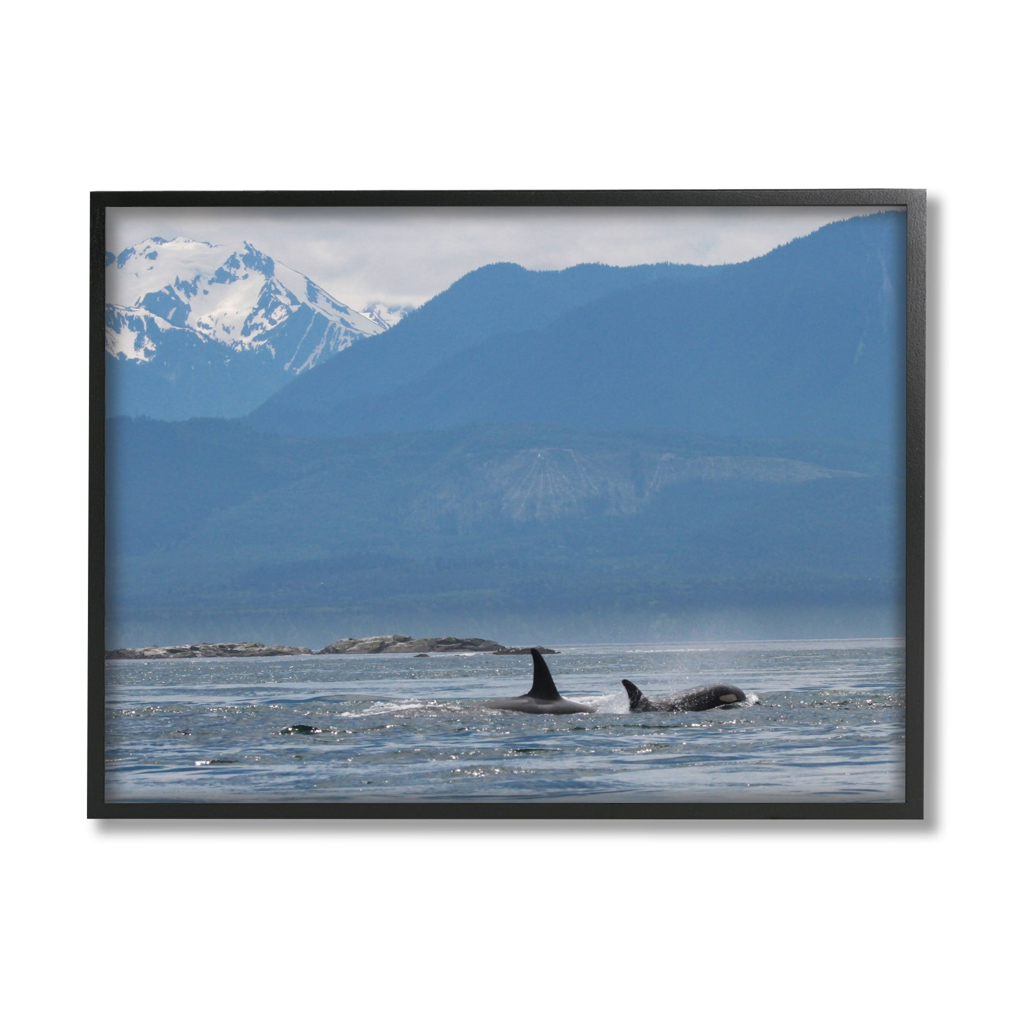 Stupell Industries Killer Whale Fines Ocean Mountain Peak Landscape Orcas, 14 x 11, Design by Daniel Sproul