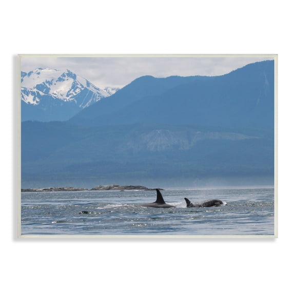 Stupell Industries Killer Whale Fines Ocean Mountain Peak Landscape Orcas, 19 x 13, Design by Daniel Sproul