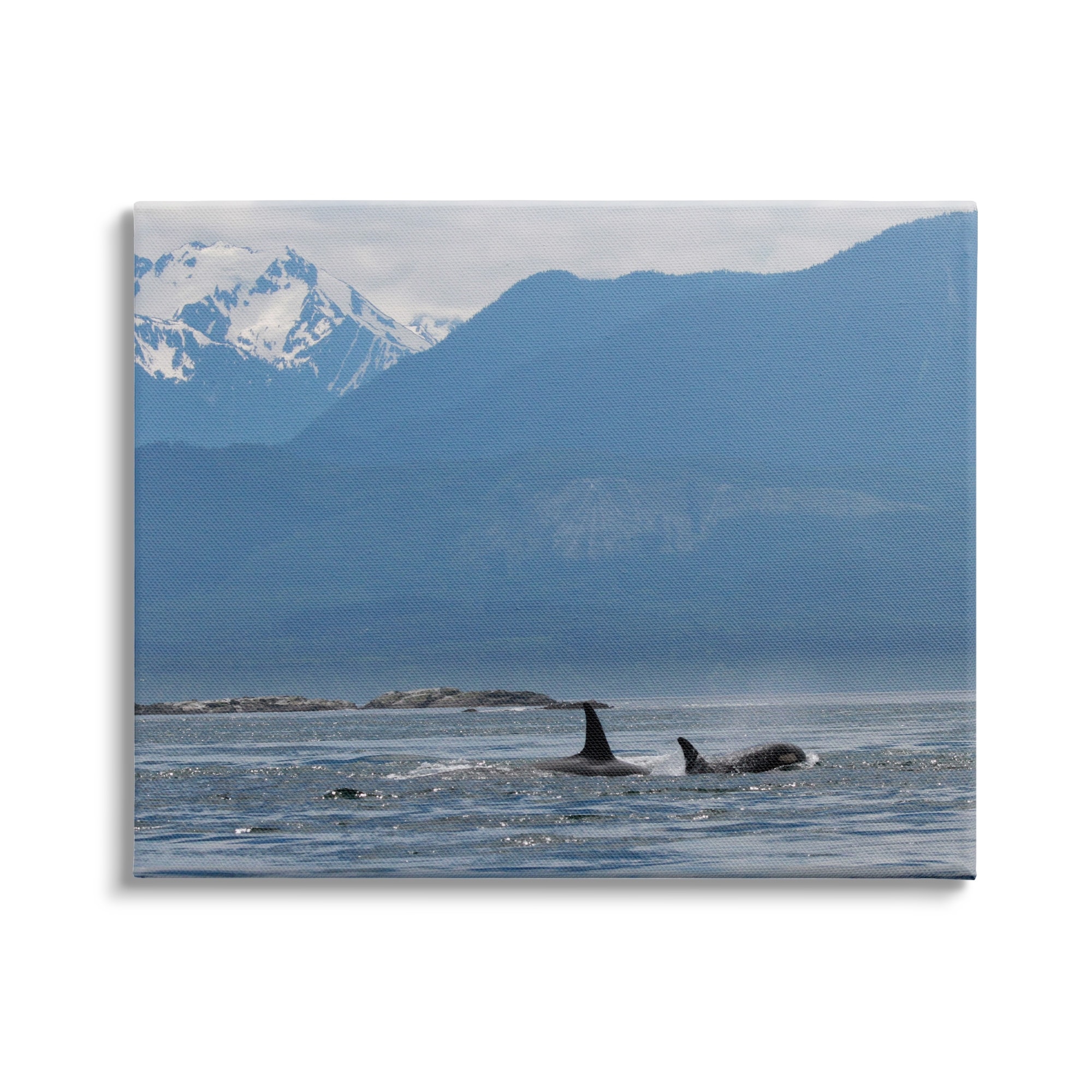 Stupell Industries Killer Whale Fines Ocean Mountain Peak Landscape Orcas, 30 x 24, Design by Daniel Sproul