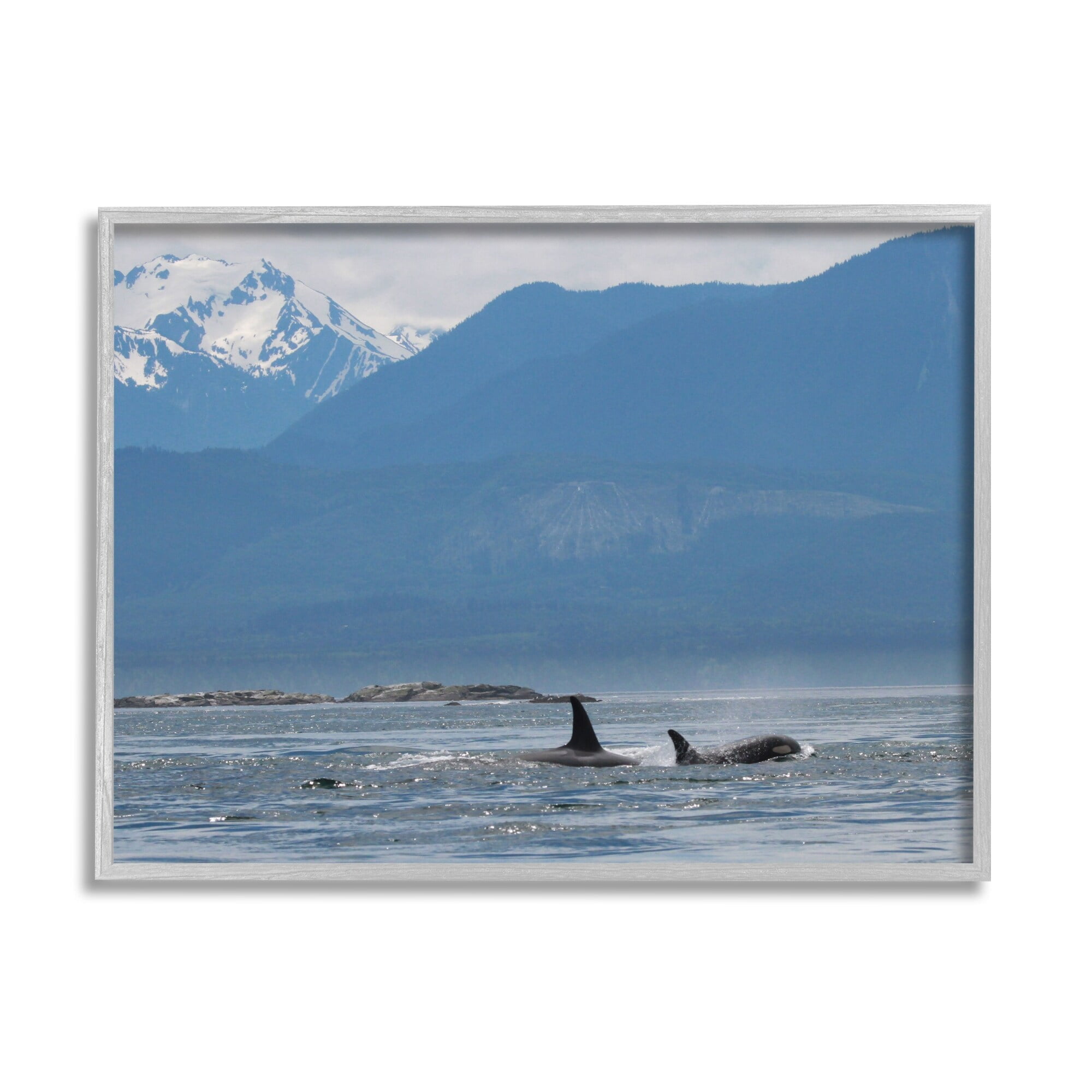 Gray Framed Killer Whale Ocean Landscape Canvas Print, 30 x 24