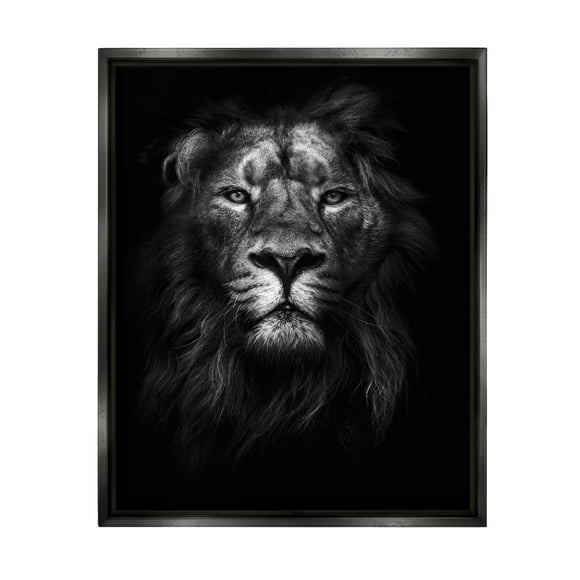 Stupell Industries King of the Jungle Lion In Shadows Black and White Photography Jet Black Framed Floating Canvas Wall Art, 16x20, by Design Fabrikken