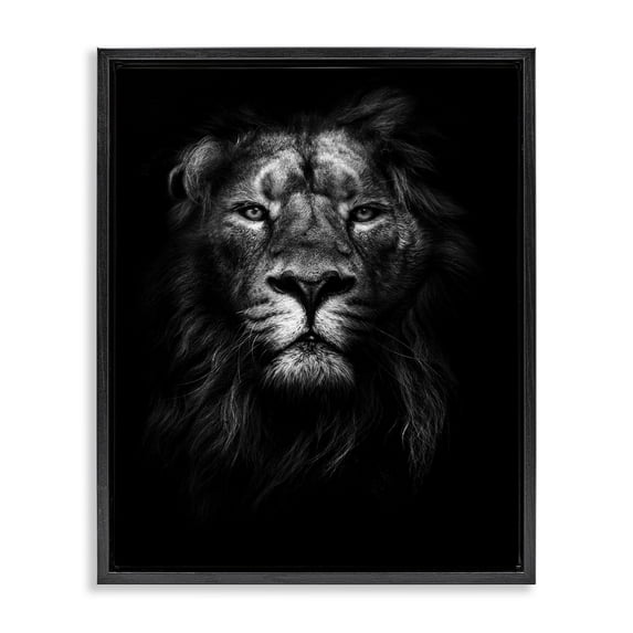 Stupell Industries King of the Jungle Lion In Shadows Black and White Photography Jet Black Framed Floating Canvas Wall Art, 16x20, by Design Fabrikken