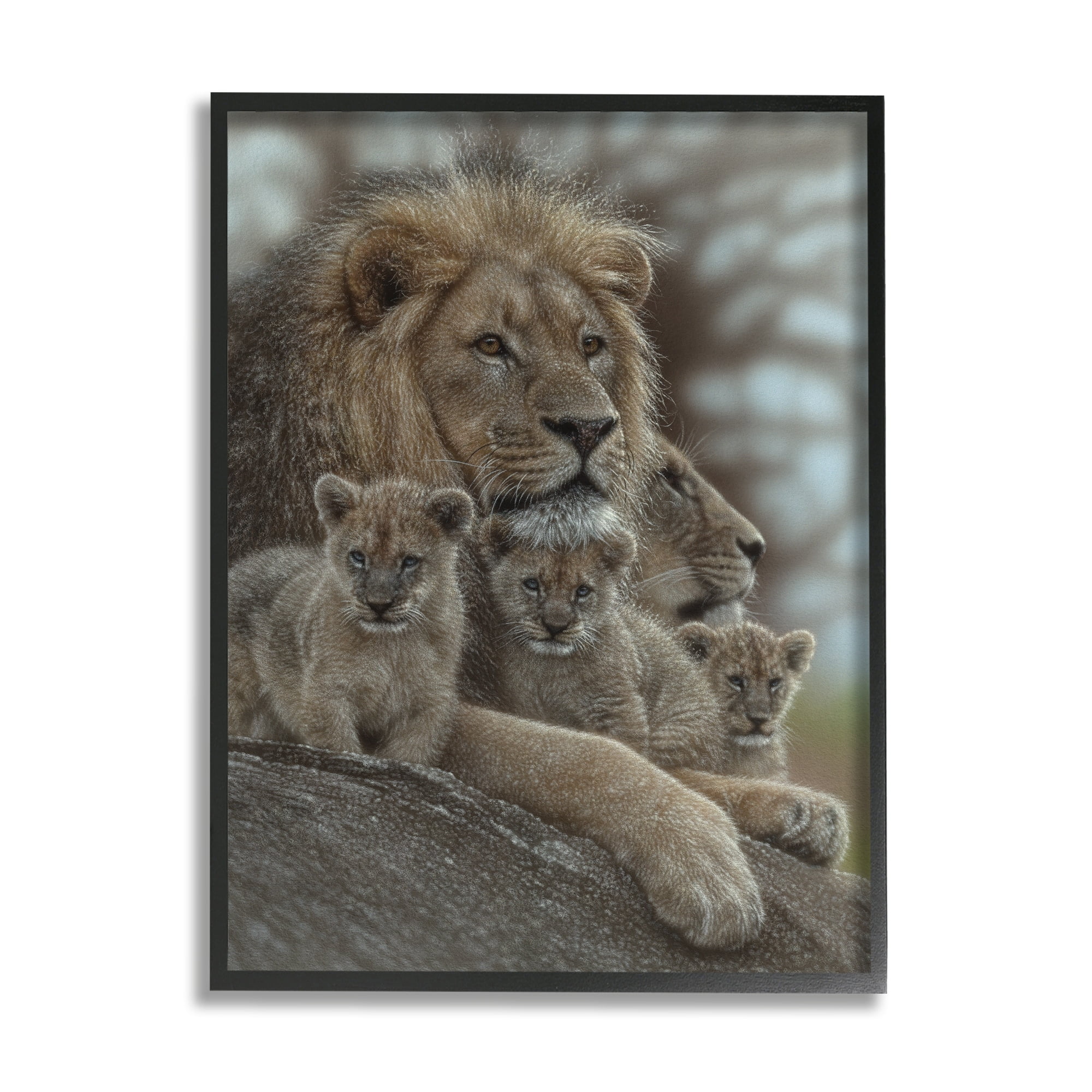 Stupell Industries King Lion Baby Cubs Wild Safari Animal Family, 11 x 14, Design by Collin Bogle