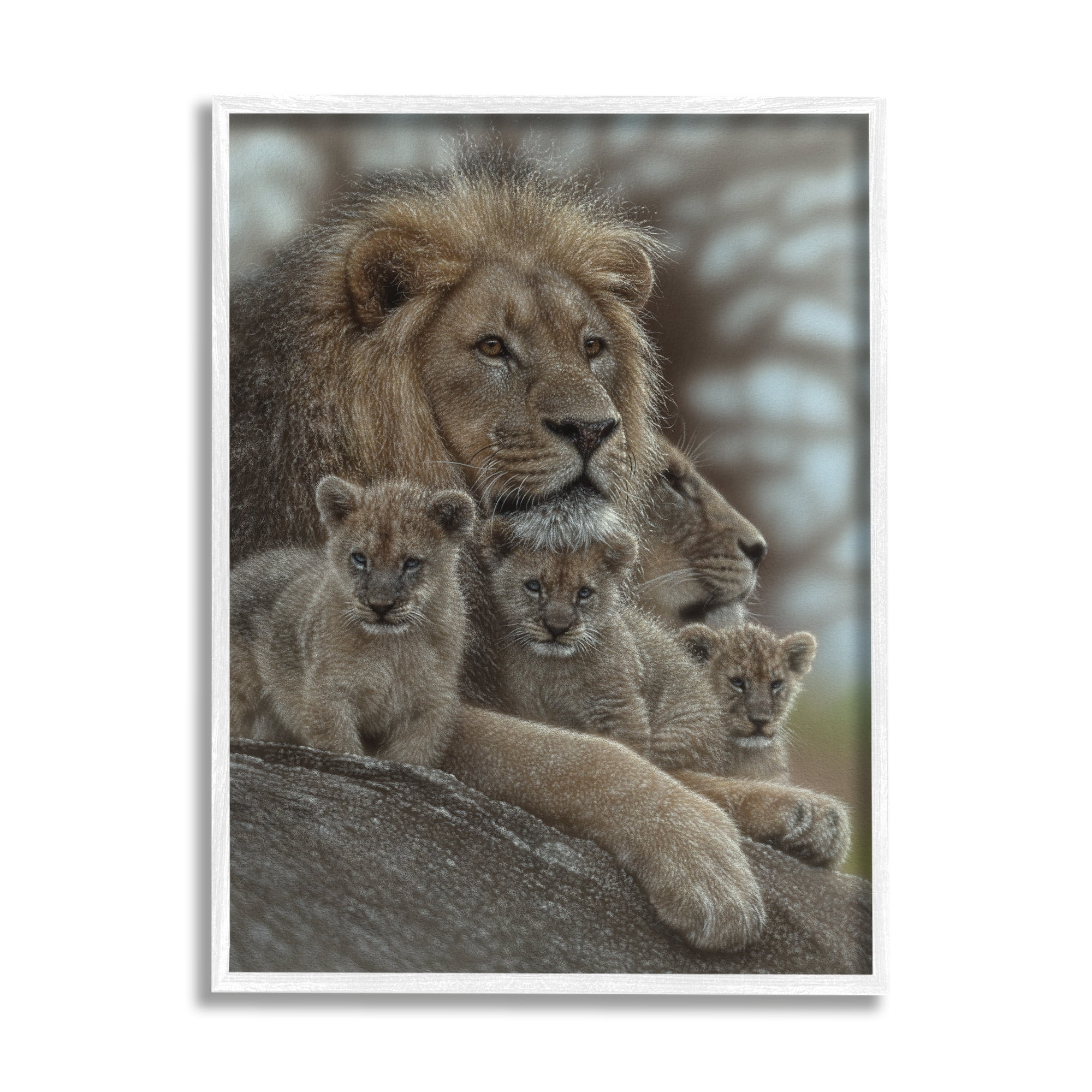 Stupell Industries King Lion Baby Cubs Wild Safari Animal Family, 11 x 14, Design by Collin Bogle