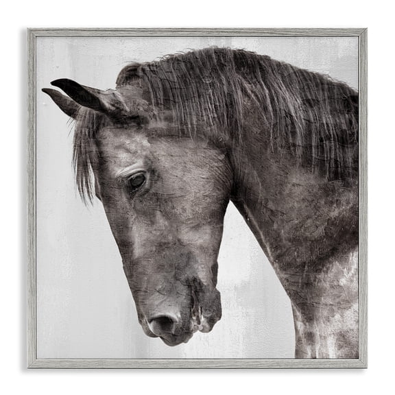 Stupell Industries King Monochromatic Horse Portrait Animals Painting Gray Framed Art Print Wall Art, 17 x 17