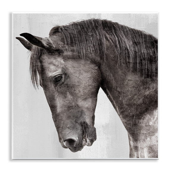 Stupell Industries King Monochromatic Horse Portrait Animals Painting Unframed Art Print Wall Art, 12 x 12